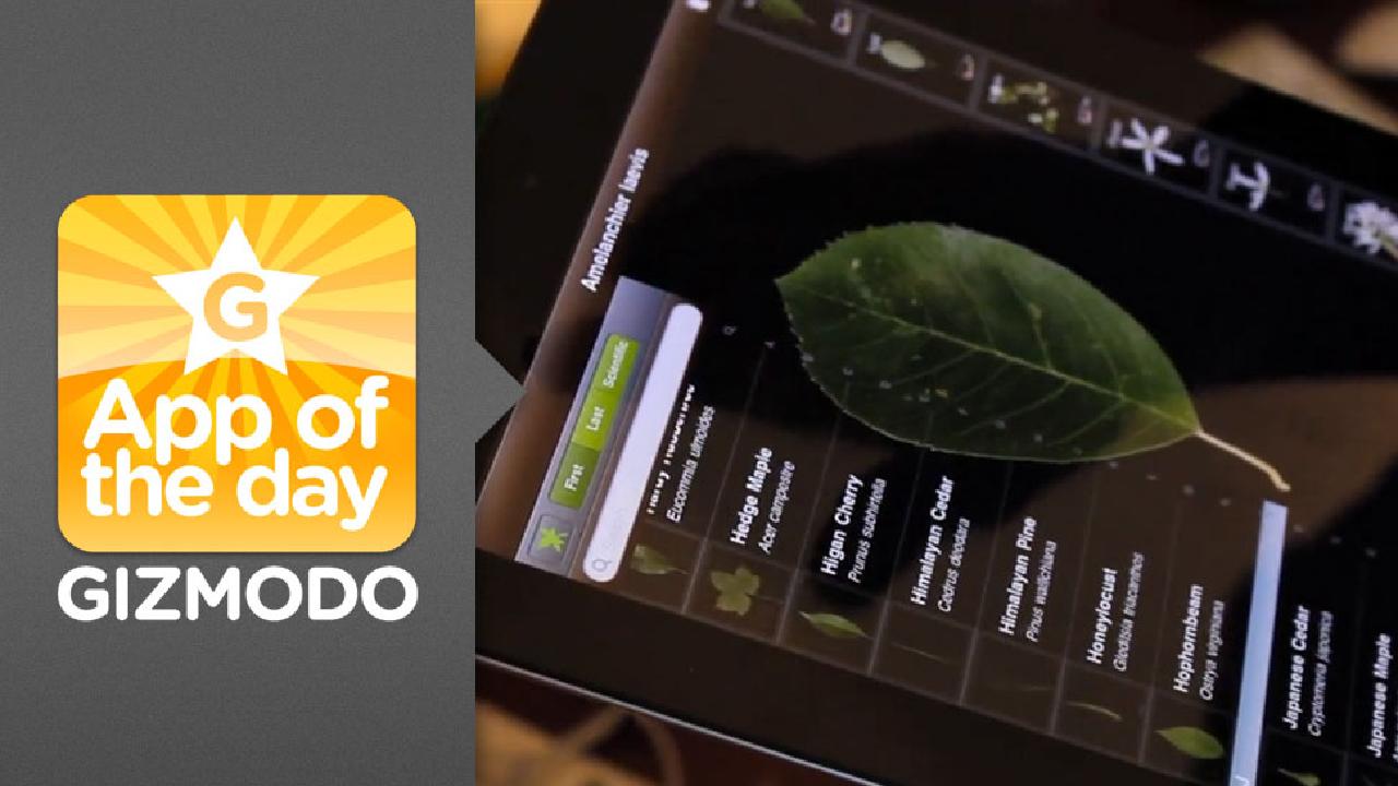 Leafsnap For iPhone And iPad