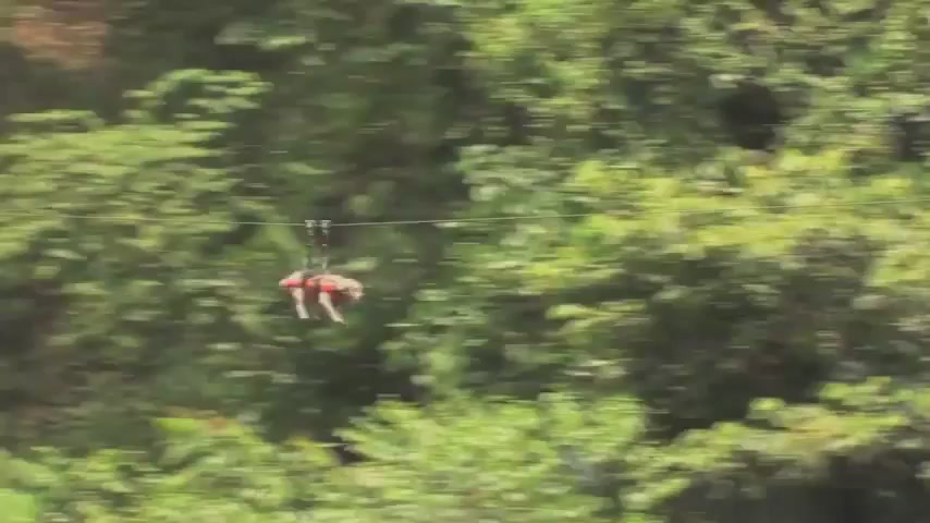 Flying Zip-Line Bulldog Totally Beats Skating Bulldog